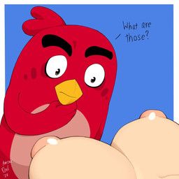 red_(angry_birds), angry_birds, rovio_entertainment, sega, amonzone