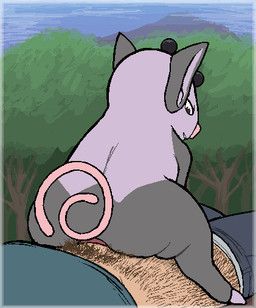 nintendo, pokemon, gmad, anal, anal_penetration