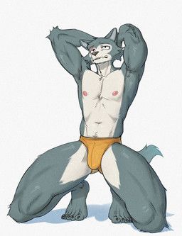 legoshi_(beastars), beastars, wolfhowl, 5_toes, anthro