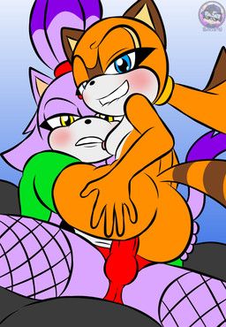 blaze_the_cat, marine_the_raccoon, sega, sonic_the_hedgehog_(series), sirjzau