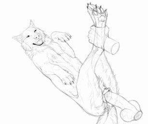 valiberite, animal_genitalia, animal_penis, animal_vulva, anthro