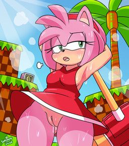 amy_rose, sega, sonic_the_hedgehog_(series), surjang, anthro