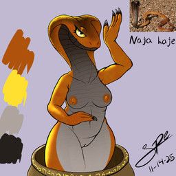 spe, 4_fingers, anthro, apode, areola