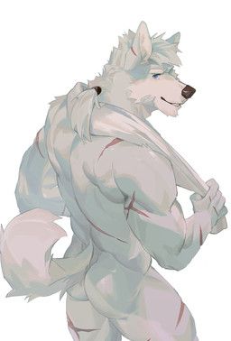 seatohao, anthro, arm_scar, back_muscles, back_scar