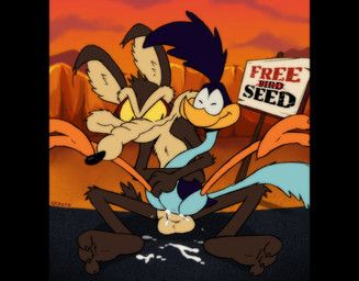 wile_e._coyote, coyote_vs._acme, looney_tunes, warner_brothers, conditional_dnp