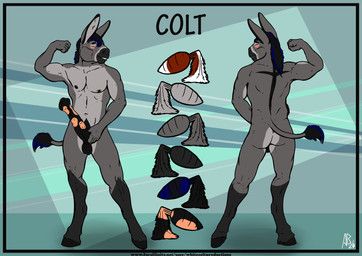 whitecolt_productions, animal_genitalia, animal_penis, anthro, asinus