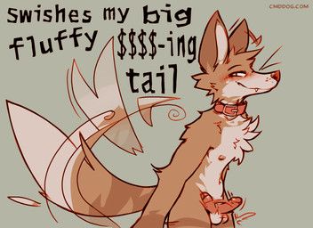 cantio_(lawyerdog), lawyerdog, anthro, balls, biped