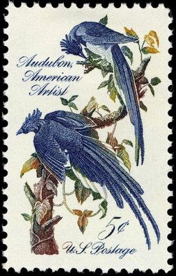 public_domain, john_james_audubon, robert_l._miller, ambiguous_gender, avian