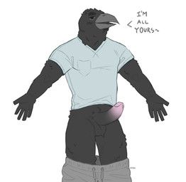 lucekracoon, anthro, avian, ball_tuft, balls