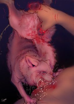feelferal, anal, anal_penetration, balls, bestiality