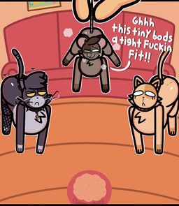cheesepuff_(mykendyke), cookie_(mykendyke), stray_(mykendyke), tammy_(mykendyke), conditional_dnp