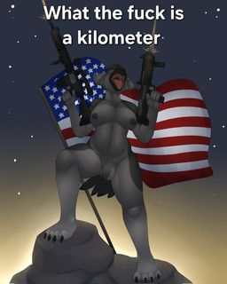 indyee, vernoncaolo, american_flag, anthro, areola