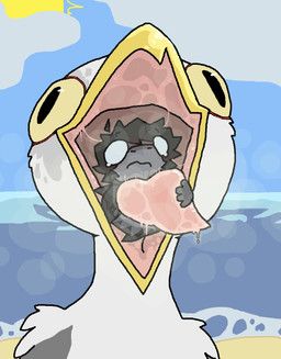 estermaelstrom, anthro, aquatic, avian, beak