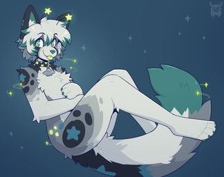 fleurfurr, 4_toes, anthro, arm_tuft, black_collar