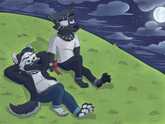 shadow_von_wolfkin, tony_lobodongo, anthro, canid, canine