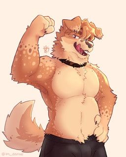 its_stardog, anthro, armpit_hair, bandage, bandage_on_face