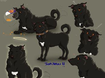 gthusky, black_body, black_fur, canid, canine
