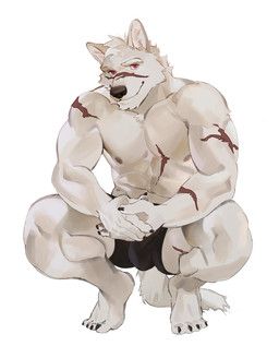 seatohao, abs, anthro, arm_scar, barazoku