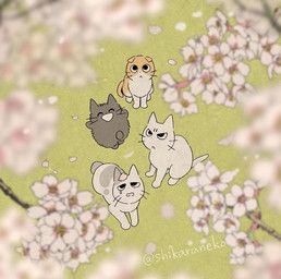 amayakasuneko, nagameruneko, shikaruneko, ureuneko, shikaruneko_(series)