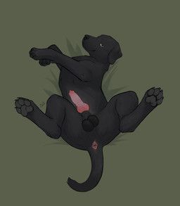 maleq, anatomically_correct, anatomically_correct_genitalia, anatomically_correct_penis, animal_genitalia