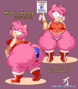 amy_rose, sonic_the_hedgehog, sega, sonic_the_hedgehog_(series), senorrosas