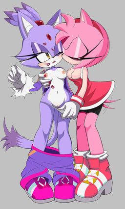 amy_rose, blaze_the_cat, sega, sonic_the_hedgehog_(series), jisoogunn