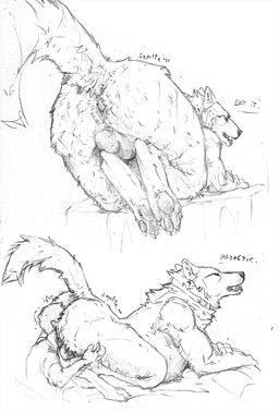 sepulte, anthro, anus, balls, biped