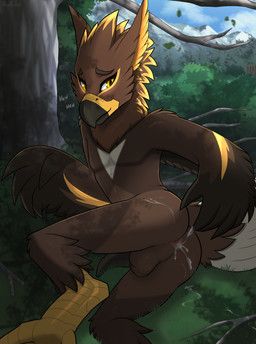 faylinx_(kazrune), kazrune, accipitrid, accipitriform, after_anal