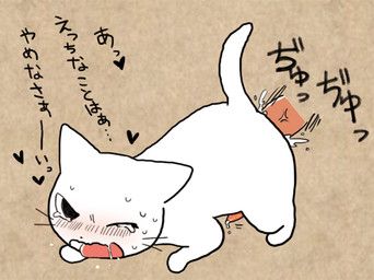 shikaruneko, shikaruneko_(series), chococake, anal, anal_penetration