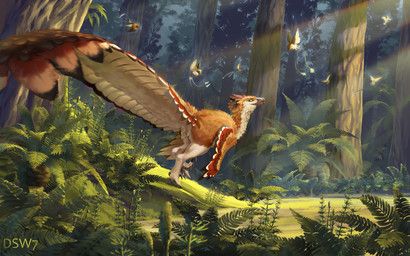 dsw7, ambiguous_gender, avian, biped, bipedal_feral