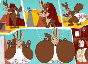 road_runner_(looney_tunes), wile_e._coyote, acme, looney_tunes, warner_brothers