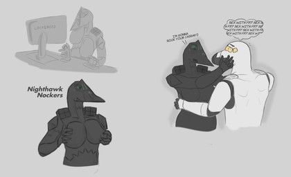 f-117_nighthawk, space_transportation_system, titty_sucking_method, wraithagsm, aeromorph