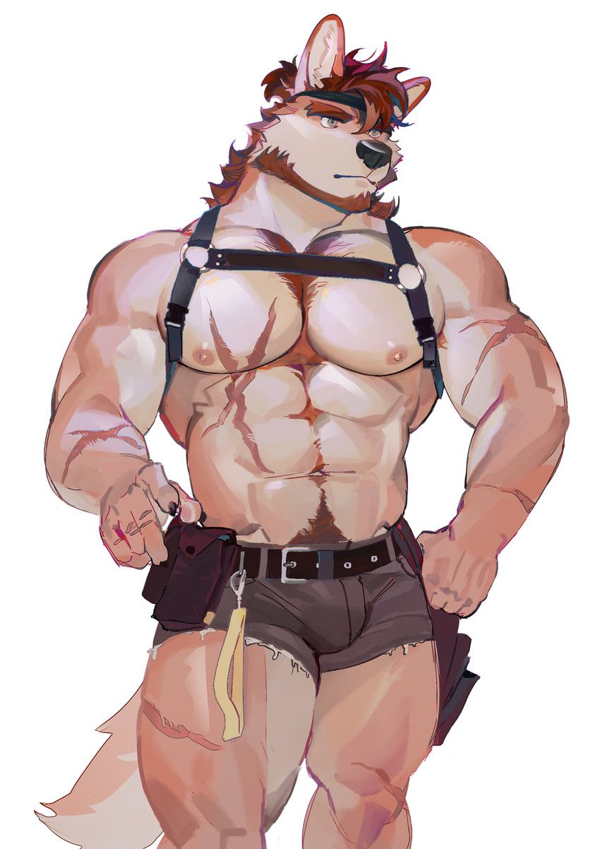 seatohao, abdominal_scar, abs, accessory, anthro