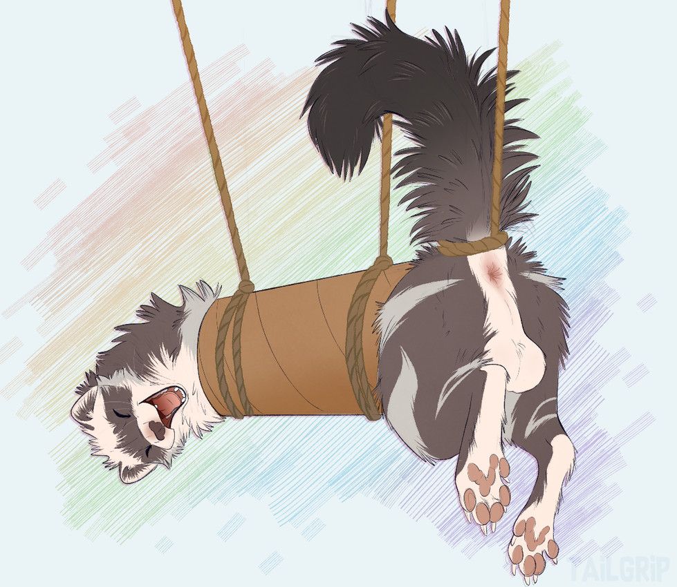 cooper_mordaut, conditional_dnp, tailgrip, anus, balls