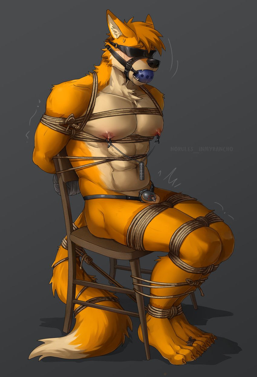 aless-sotan, norules_inmyrancho, ankles_tied, anthro, arms_tied