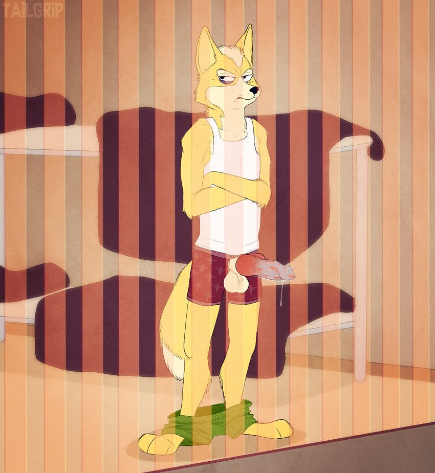 fox_mccloud, a_fox_in_space, nintendo, star_fox, conditional_dnp
