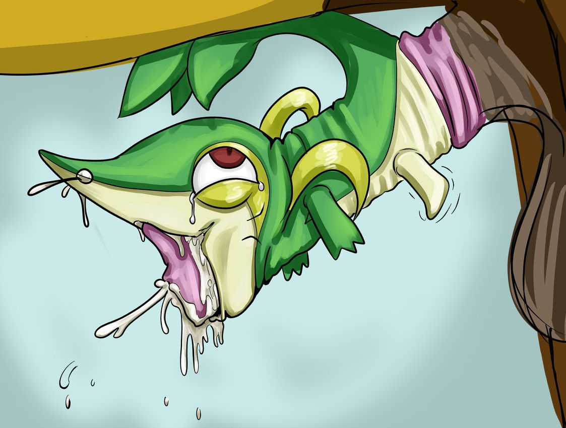 nintendo, pokemon, herculesart, all_the_way_through, animal_genitalia