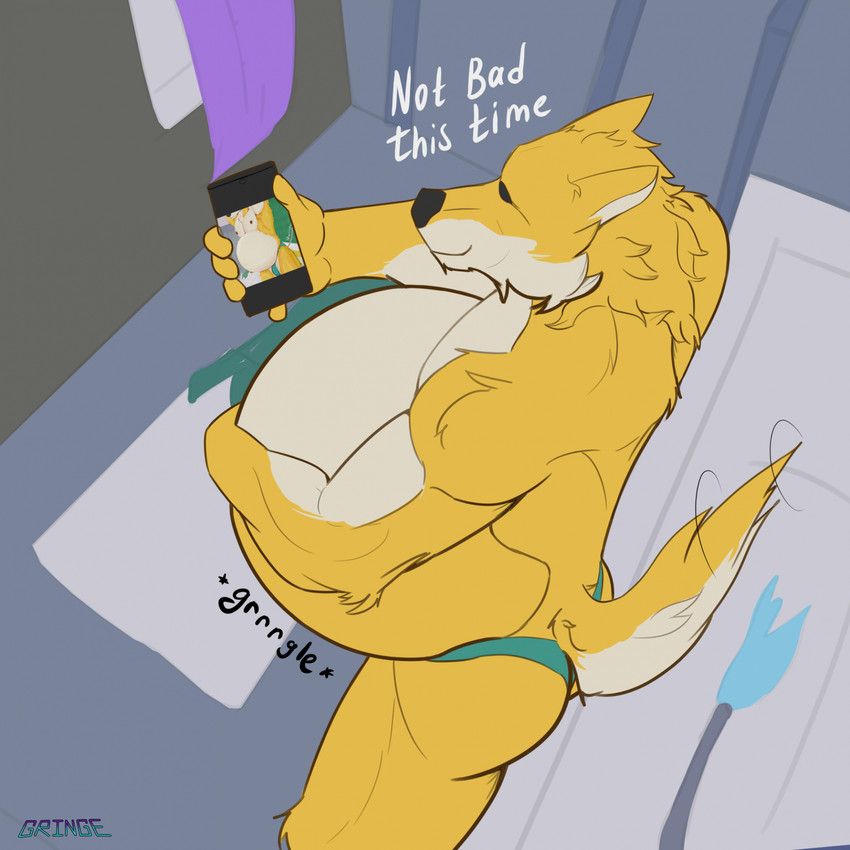 gringe, anthro, bathroom, bathtub, belly