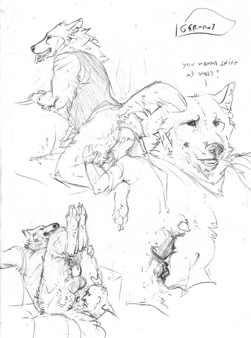sepulte, anal, animal_genitalia, animal_penis, anthro