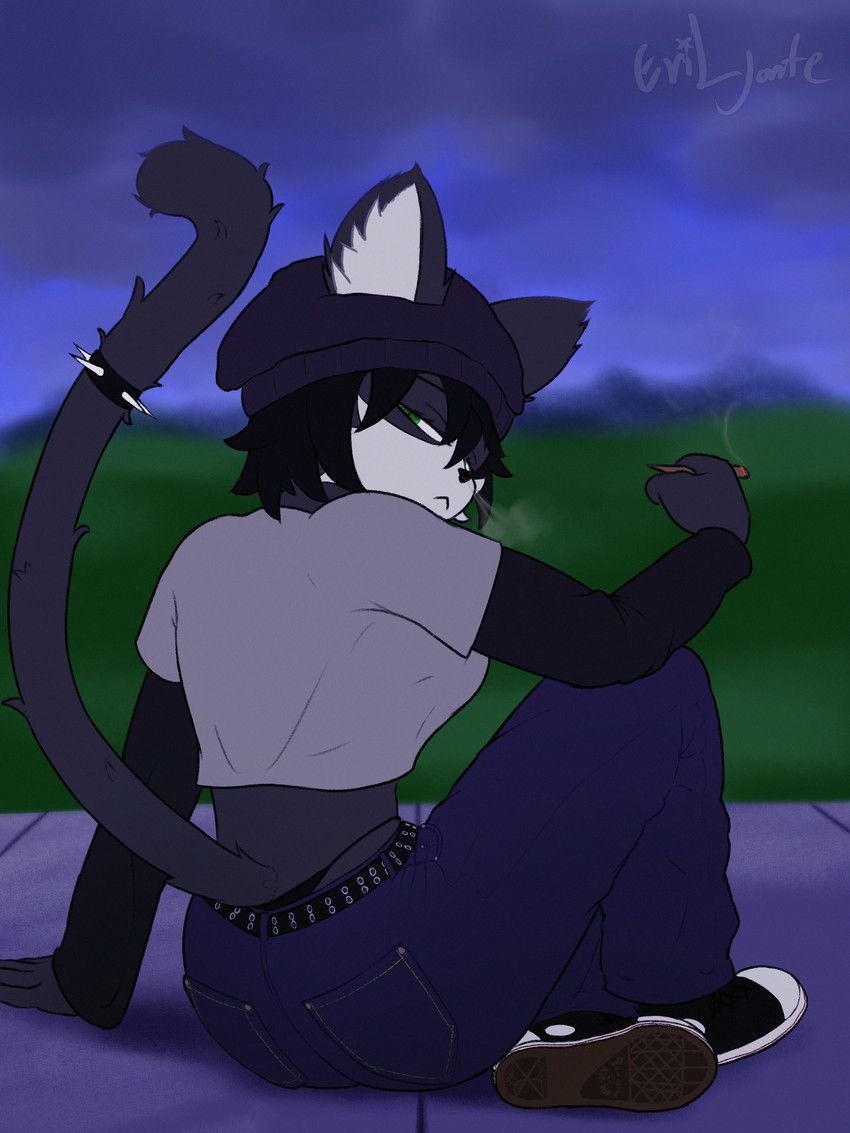 eviljonte, anthro, bottomwear, clothing, crop_top