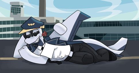 boeing, bunchasticks, accessory, aeromorph, aircraft