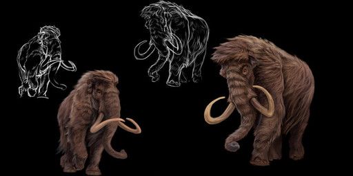 grazianoroccatani, black_background, brown_body, brown_fur, elephantid