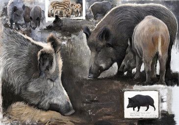 renum63, black_eyes, brown_body, brown_fur, feral
