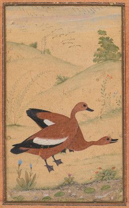 public_domain, unknown_artist, ambiguous_feral, ambiguous_gender, anatid