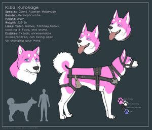 kiba_kurokage, loonertick, akita, alaskan_malamute, canid