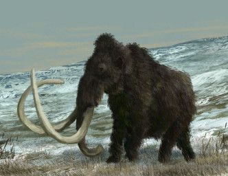 mihin89, brown_body, brown_fur, elephantid, feral