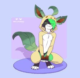 aevyn, nintendo, pokemon, bell_koji, 4_toes