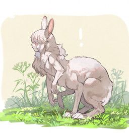 mullmull, digitigrade, female, fur, grass
