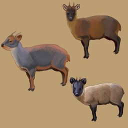 agustindiazart, ambiguous_gender, black_markings, black_nose, brown_body