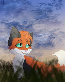 airymiller, black_body, black_fur, cheek_tuft, cloud